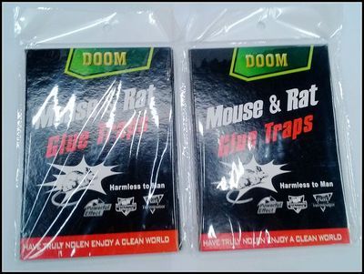 黃山力神日用品 專業(yè)出口型粘鼠板與滅鼠產(chǎn)品圖片賞析
